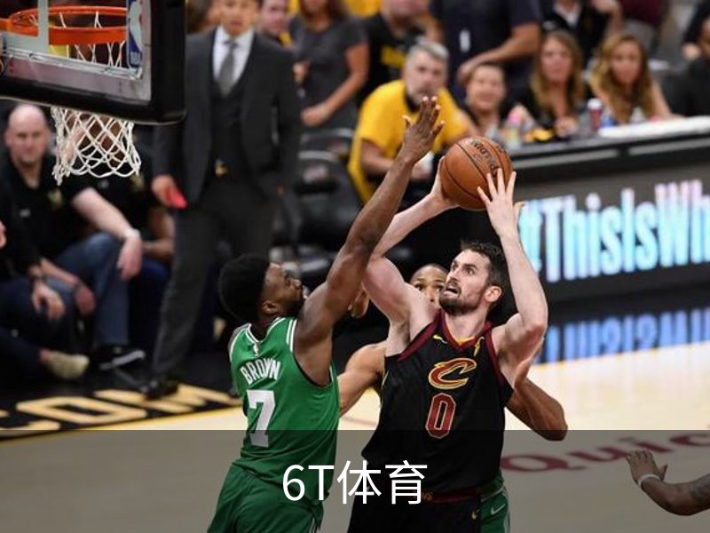 6T体育介绍